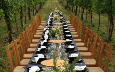 Cene in vigna Terracruda 2016