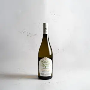 Terracruda-vino-bio-marche-boccalino