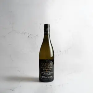 Campodarchi Argento – Bianchello del Metauro Doc Superiore