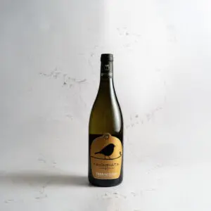 Terracruda vino biologico marchigiano Innominata Marche IGT bianco