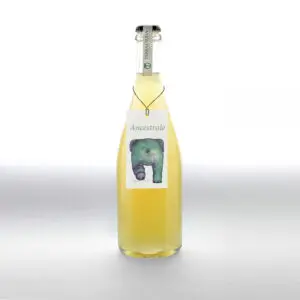 Vino bianco frizzante ancestrale Terracruda