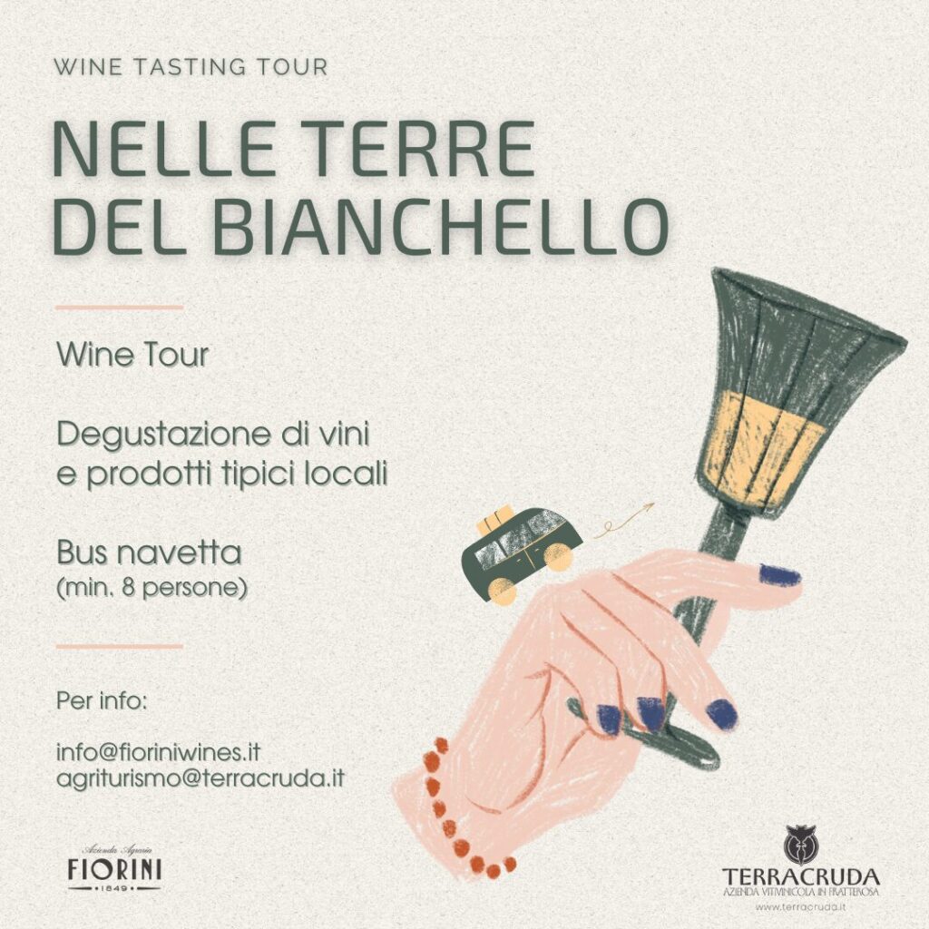 Alla scoperta delle Terre del Bianchello: enoturismo con navetta Pesaro Fano Urbino senigallia