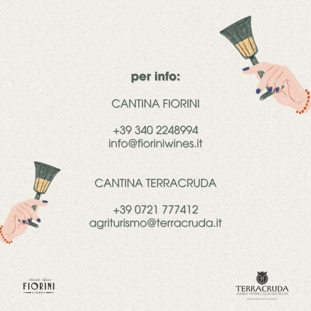 Alla scoperta delle Terre del Bianchello: enoturismo con navetta Pesaro Fano Urbino senigallia