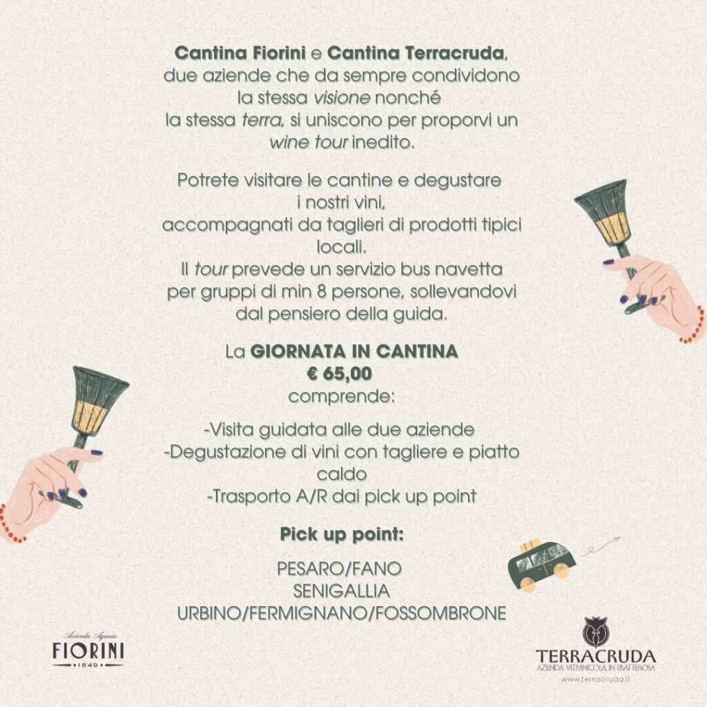 Alla scoperta delle Terre del Bianchello: enoturismo con navetta Pesaro Fano Urbino senigallia