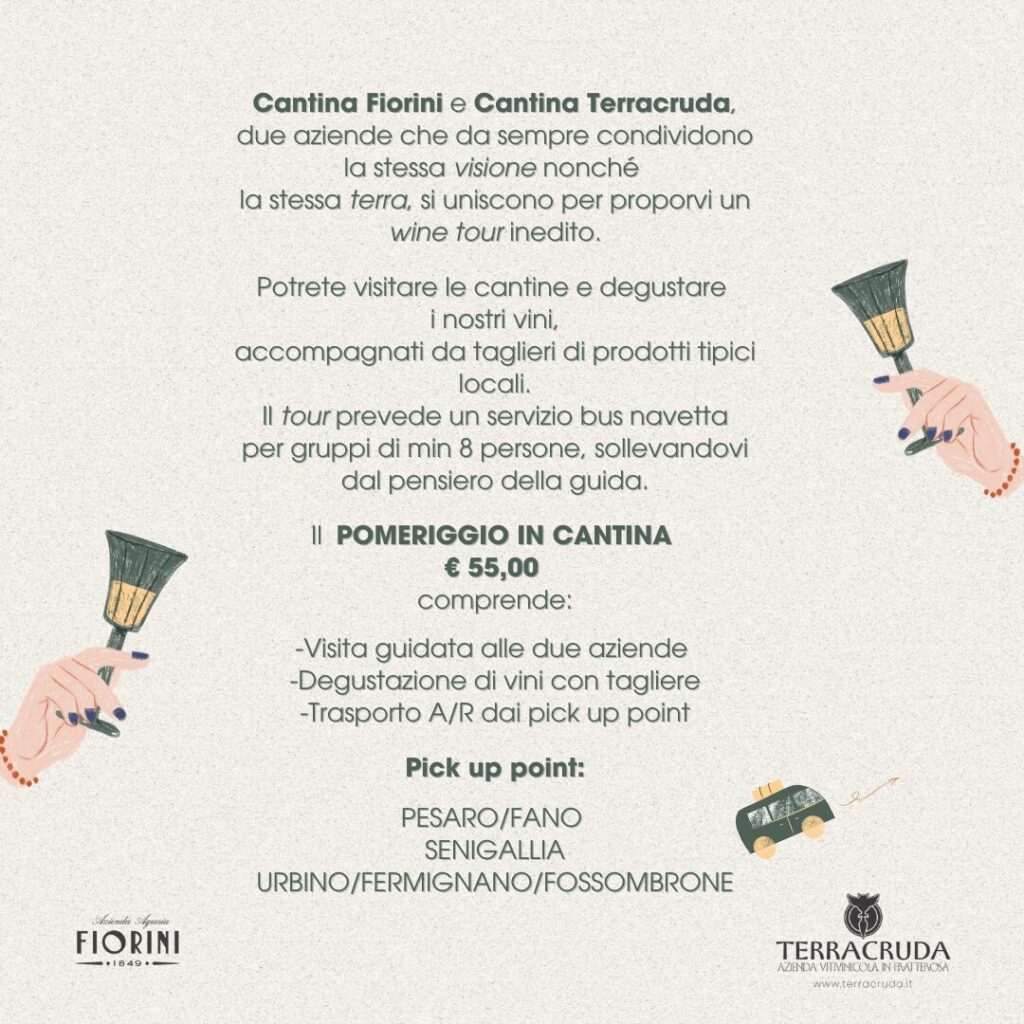 Alla scoperta delle Terre del Bianchello: enoturismo con navetta Pesaro Fano Urbino senigallia