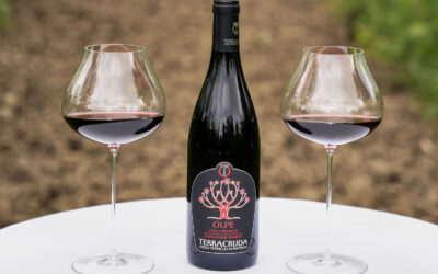 Sangiovese e polenta con salsicce: l’abbinamento perfetto