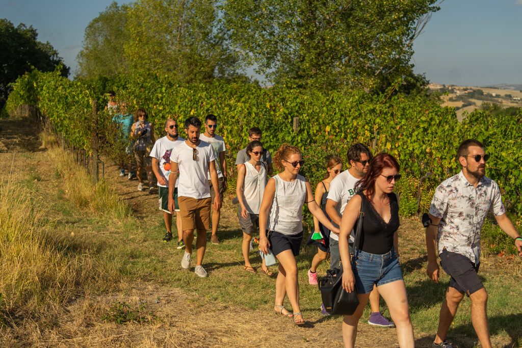 Passeggiata fra le vigne della Cantina Terracruda