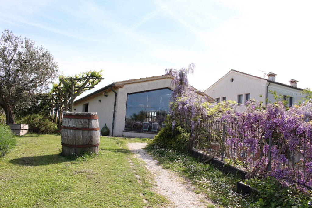 Agriturimo Marche Soggiorni presso la Cantina Terracruda di Fratte Rosa