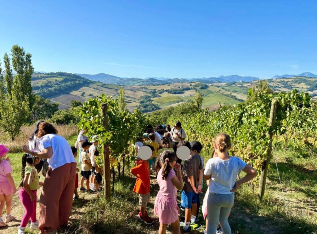 Bambini della scuola Montessori di Fratte Rosa durante la vendemmia Terracruda