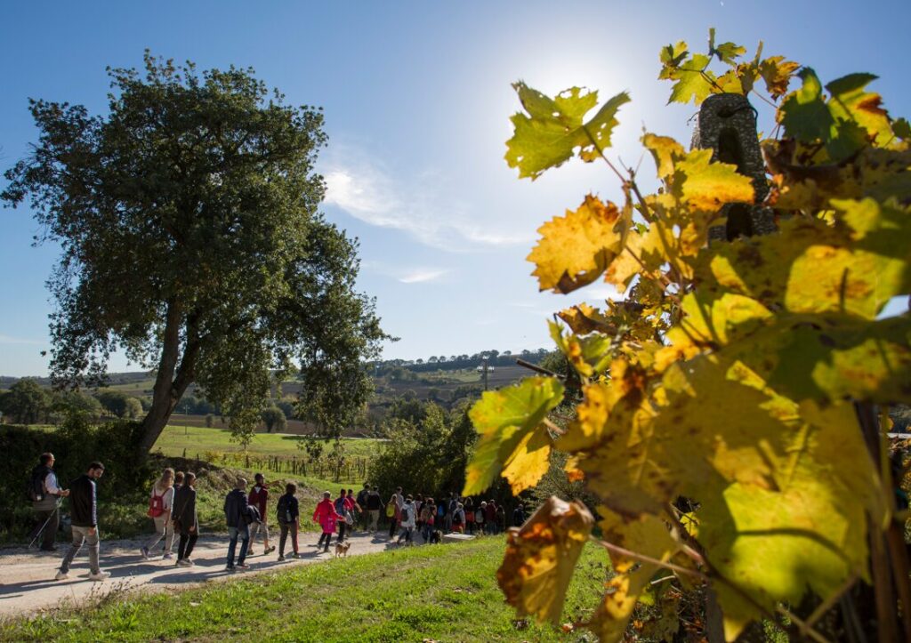 Immagine 2025-10-24 171122