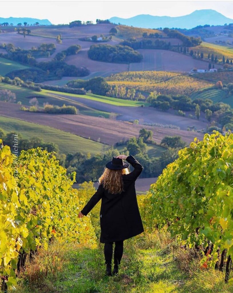 Immagine WhatsApp 2025-10-25 ore 16.59.06_69924fd6