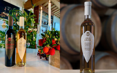 Vini per le feste: il Passito ARA MURATA Terracruda e gli abbinamenti della tradizione marchigiana