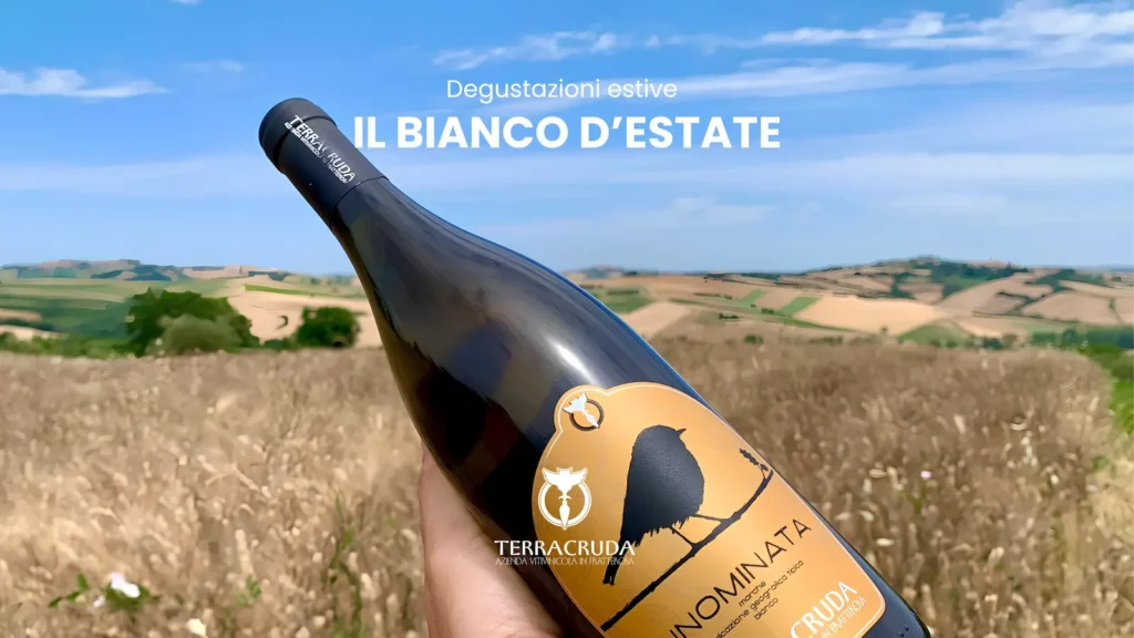 degustazioni estive di Terracruda